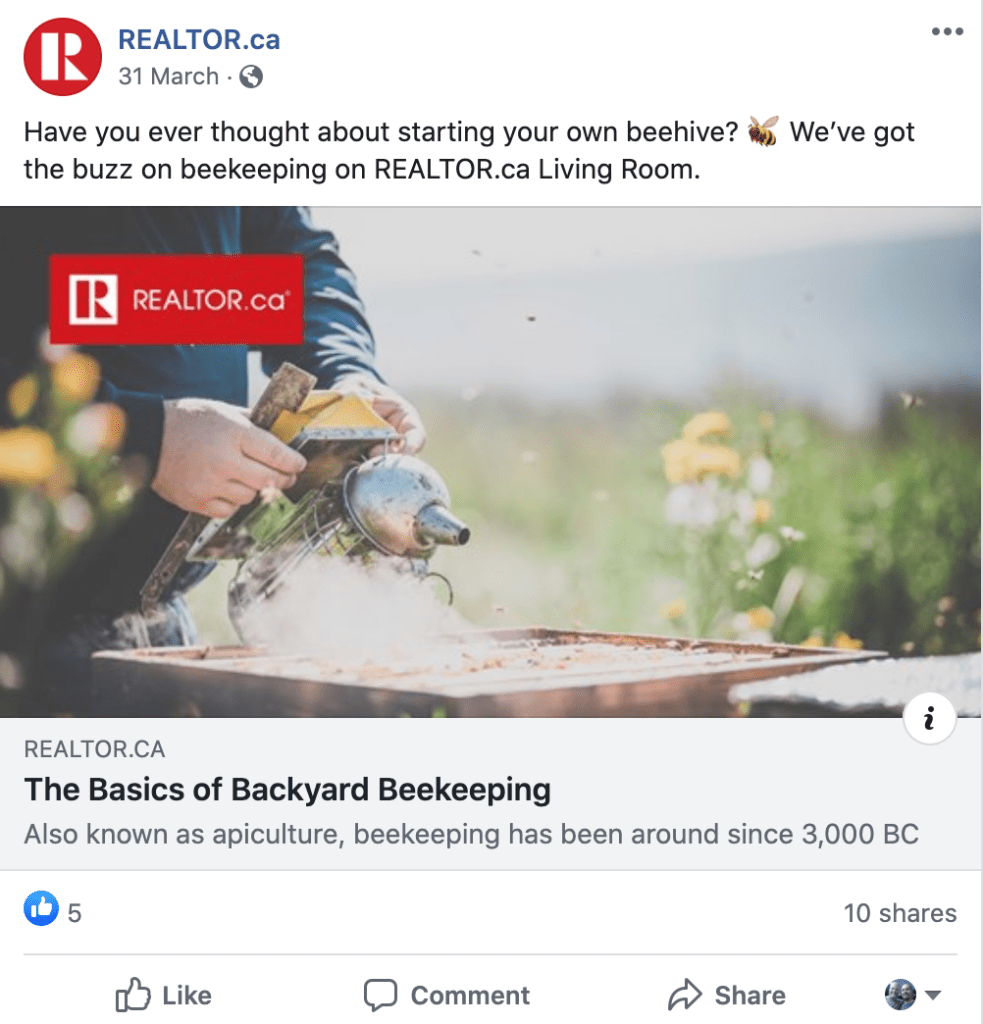 The Basics of Backyard Beekeeping